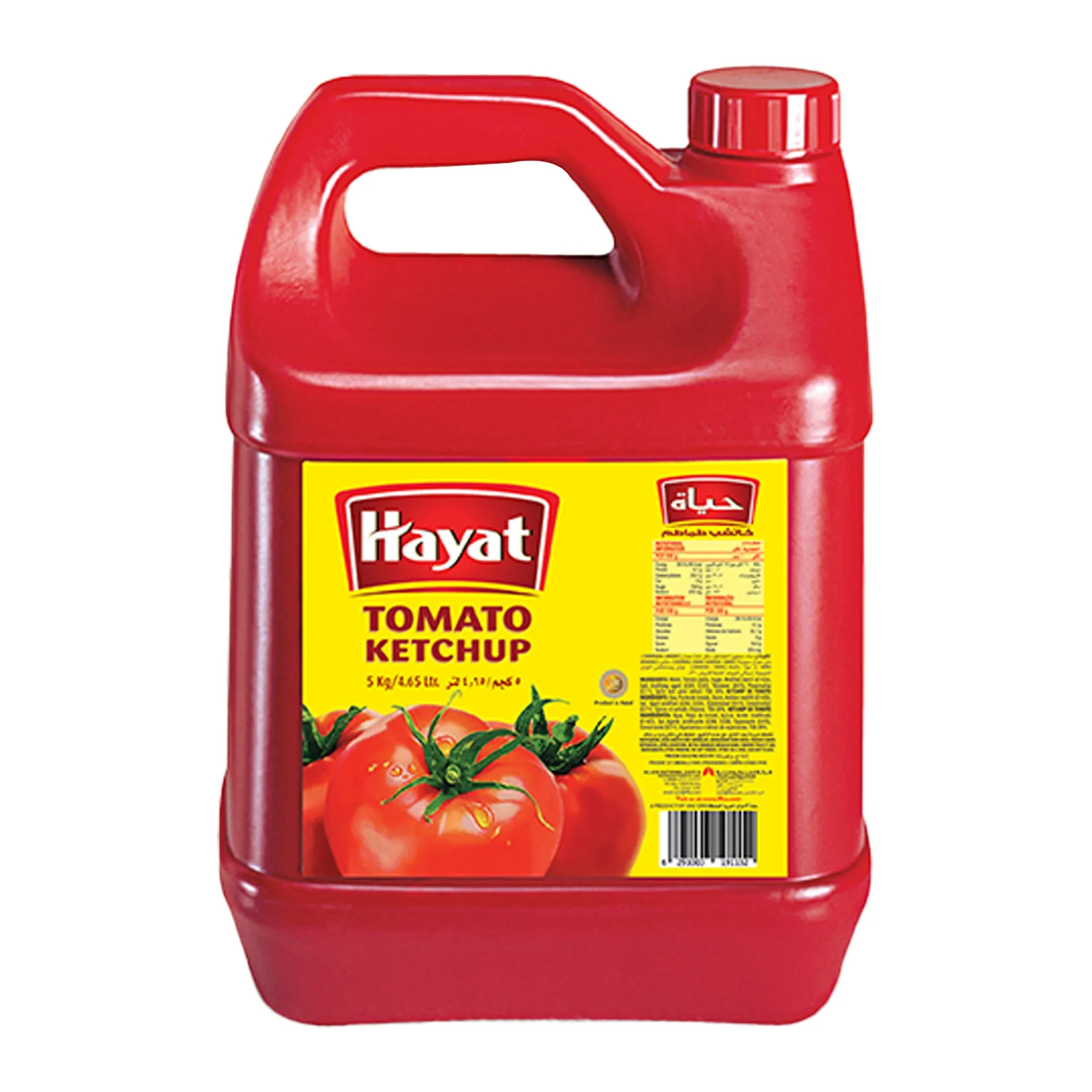 Hayat Tomato Ketchup 5kgs